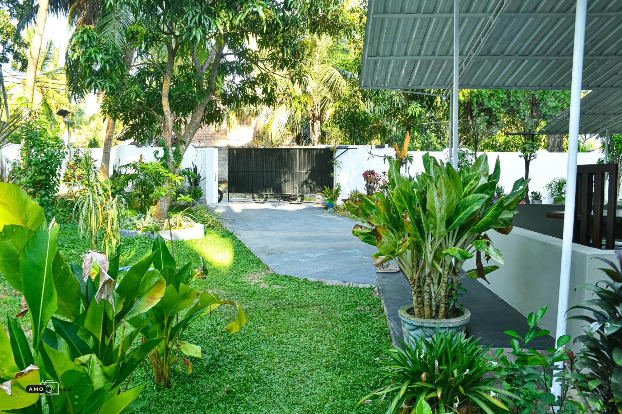 Coconut Villa Baía de Arugam Exterior foto